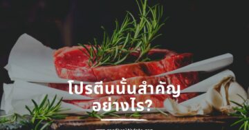 โปรตีนนั้นสำคัญอย่างไร