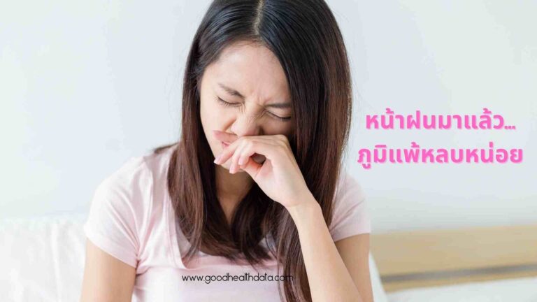 หน้าฝนภูมิแพ้