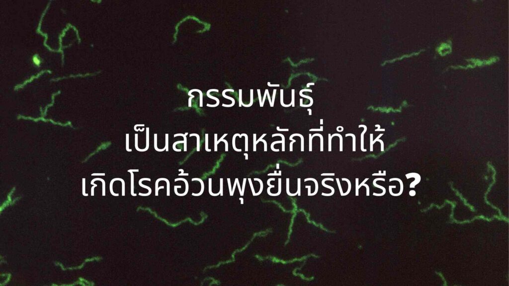 กรรมพันธุ์-เป็นสาเหตุหลักที่ทำให้-เกิดโรคอ้วนพุงยื่นจริงหรือ