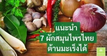แนะนำ 7 ผักสมุนไพรไทยต้านมะเร็งได้