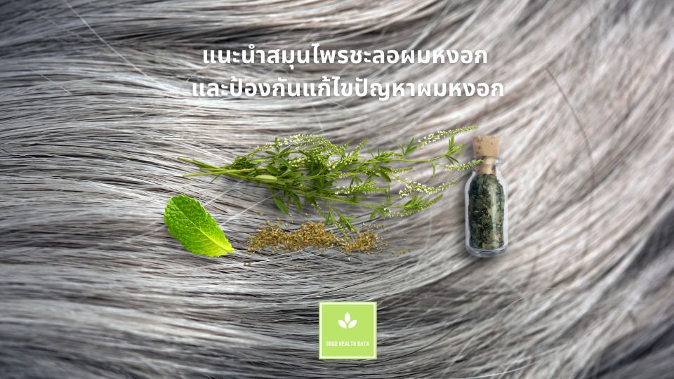 สมุนไพรชะลอผมหงอก