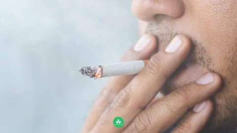 โทษและผลกระทบที่เกิดจากการสูบบุหรี่