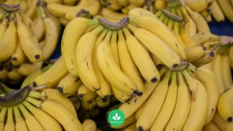 กล้วยหอม