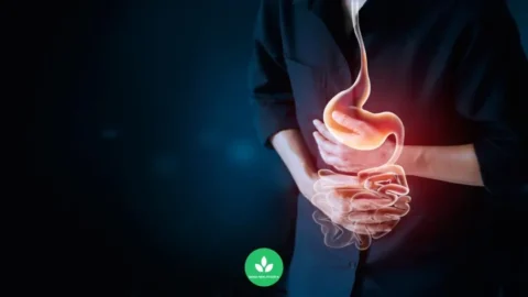 # เครียดลงกระเพาะ: โรคฮิตของคนทำงานที่คุณควรรู้ คุณเคยรู้สึกปวดท้อง จุกเสียด หรือแสบร้อนบริเวณกระเพาะอาหารหลังจากวันทำงานที่เครียดหรือไม่? หากใช่ คุณอาจกำลังเผชิญกับภาวะ "เครียดลงกระเพาะ" โรคยอดฮิตที่พบบ่อยในคนทำงาน บทความนี้จะพาคุณไปทำความรู้จักกับโรคนี้อย่างละเอียด ## โรคกระเพาะคืออะไร? โรคกระเพาะแบ่งออกเป็น 2 กลุ่มหลัก: 1. กลุ่มที่มีแผลในกระเพาะอาหาร 2. กลุ่มที่ไม่มีแผลในกระเพาะอาหาร ภาวะเครียดลงกระเพาะส่วนใหญ่จัดอยู่ในกลุ่มที่ไม่มีแผลในกระเพาะอาหาร ## อาการของภาวะเครียดลงกระเพาะ อาการที่พบบ่อยได้แก่: - ปวดท้องบริเวณลิ้นปี่ - รู้สึกจุกเสียด - แน่นท้อง - แสบร้อนบริเวณกระเพาะอาหาร อาการมักเกิดขึ้นหลังรับประทานอาหาร แต่ก็สามารถเกิดขึ้นระหว่างมื้ออาหารได้เช่นกัน ส่วนใหญ่อาการไม่รุนแรงและเป็นๆ หายๆ มีเพียงส่วนน้อยที่มีอาการรุนแรง **หมายเหตุ**: อาการผิดปกติอื่นๆ เช่น ถ่ายอุจจาระผิดปกติหรือแสบร้อนที่ยอดอก อาจเป็นผลจากโรคร่วมอื่นๆ เช่น โรคลำไส้แปรปรวนหรือโรคกรดไหลย้อน ## การรักษาภาวะเครียดลงกระเพาะ หากได้รับการวินิจฉัยว่าเป็นโรคนี้ แพทย์มักจะแนะนำให้ปรับเปลี่ยนพฤติกรรมการรับประทานอาหาร ดังนี้: 1. **รับประทานอาหารให้ตรงเวลา**: ควรรับประทานอาหารเวลาเดิมทุกวัน 2. **เลือกชนิดของอาหาร**: - หลีกเลี่ยงอาหารรสจัด เพราะอาจทำให้เกิดอาการแสบหรือปวดท้อง - ลดการรับประทานอาหารมัน เพราะอาจทำให้เกิดอาการจุกแน่นท้อง 3. **หลีกเลี่ยงยาบางชนิด**: เช่น ยาแก้ปวดกลุ่มแอสไพรินและกลุ่ม NSAIDs นอกจากนี้ การดูแลสุขภาพทั่วไปก็มีความสำคัญ: - ออกกำลังกายสม่ำเสมอ - พักผ่อนให้เพียงพอ - จัดการความเครียด หากปฏิบัติตามคำแนะนำเบื้องต้นแล้วอาการยังไม่ดีขึ้น ควรพบแพทย์เพื่อตรวจเพิ่มเติมและรับการรักษาที่เหมาะสม ## การพยากรณ์โรค ผลการรักษาในผู้ป่วยโรคกระเพาะมีดังนี้: - 50% ของผู้ป่วยมีอาการดีขึ้น - 30% ของผู้ป่วยมีอาการเป็นๆ หายๆ - 20% ของผู้ป่วยมีอาการต่อเนื่อง ## สัญญาณอันตรายที่ควรระวัง หากคุณพบอาการต่อไปนี้ ควรพบแพทย์โดยด่วน: - น้ำหนักลดโดยไม่ทราบสาเหตุ - รับประทานอาหารได้น้อยลงหรืออิ่มเร็วผิดปกติ - ถ่ายอุจจาระเป็นสีดำ - คลื่นไส้อาเจียนเรื้อรัง อาการเหล่านี้อาจเป็นสัญญาณของภาวะแทรกซ้อนหรือโรคอื่นๆ ที่ร้ายแรงกว่า ## สรุป ภาวะเครียดลงกระเพาะเป็นปัญหาสุขภาพที่พบบ่อยในคนทำงาน แม้จะไม่ร้ายแรงในหลายกรณี แต่ก็สามารถส่งผลกระทบต่อคุณภาพชีวิตได้ การปรับเปลี่ยนพฤติกรรมการรับประทานอาหาร การจัดการความเครียด และการดูแลสุขภาพโดยรวมสามารถช่วยบรรเทาอาการได้ อย่างไรก็ตาม หากมีอาการรุนแรงหรือผิดปกติ ควรปรึกษาแพทย์เพื่อรับการรักษาที่เหมาะสม **แหล่งข้อมูล**: คณะแพทยศาสตร์ศิริราชพยาบาล